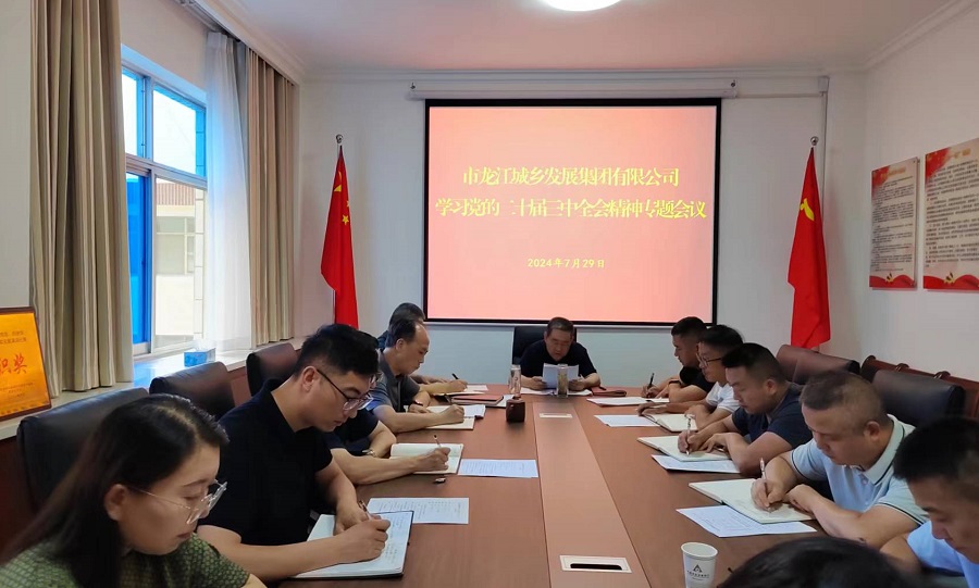 市龍江集團召開黨委（擴大）會議傳達學(xué)習(xí)貫徹黨的二